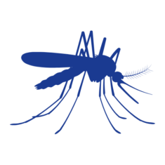 Effektiver Schutz vor Insekten Effektiver Schutz vor Insekten